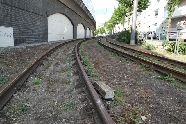 Sonderausstellung: 125 Jahre Elektrische Straßenbahn in Mannheim /Symbolfoto | Foto: Charlotte Basaric-Steinhübl