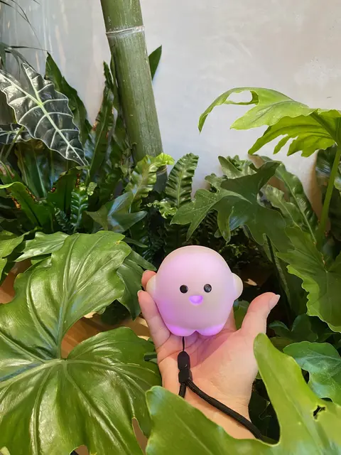 Circular, das interaktive Gadget mit dem absoluten Niedlichkeitsfaktor von 100% | Foto: Sabine Hill