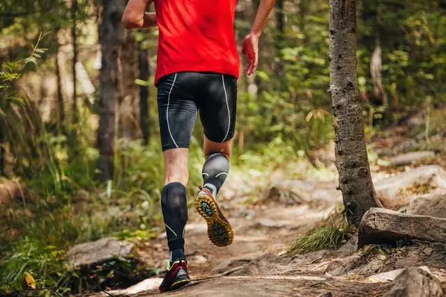 Waldlauf Symbolbild | Foto: sports photos/stock.adobe.com