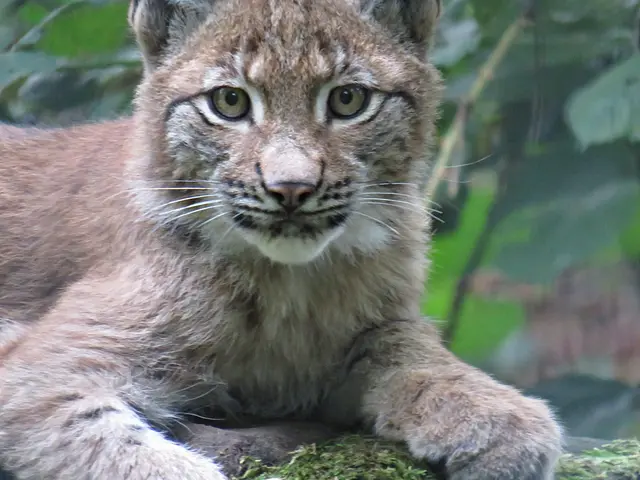 Foto: Brigitte Melder