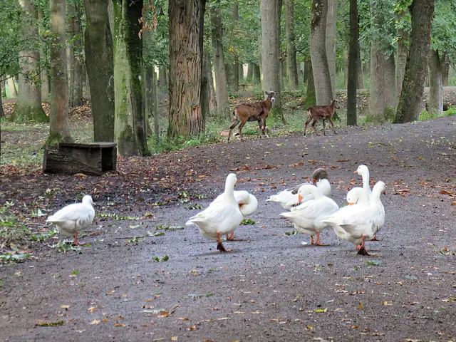 Foto: Brigitte Melder