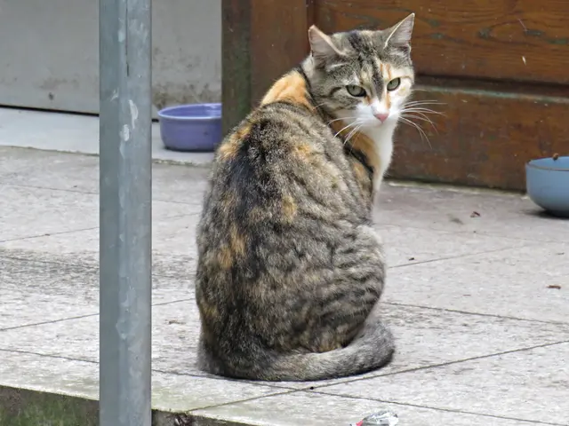 Foto: Brigitte Melder