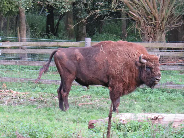 Nicht mehr allein | Foto: Brigitte Melder