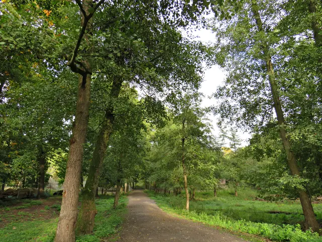 Foto: Brigitte Melder