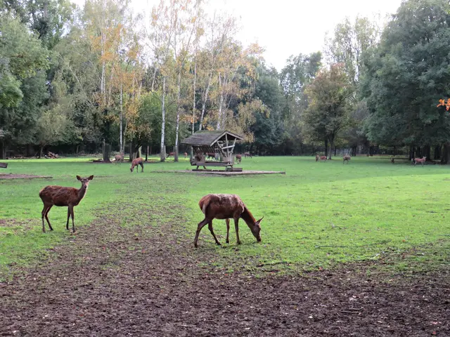 Foto: Brigitte Melder