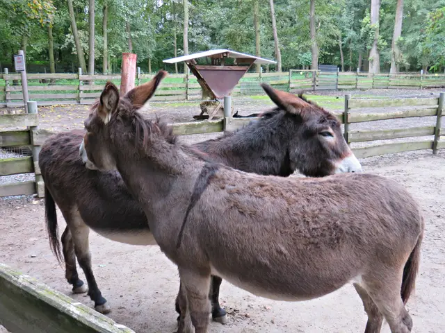 Foto: Brigitte Melder