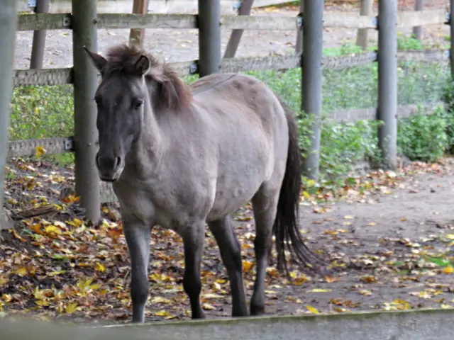 Foto: Brigitte Melder