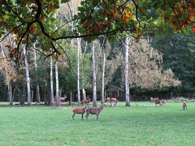 Foto: Brigitte Melder