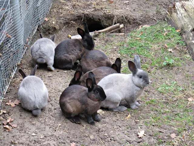 Foto: Brigitte Melder