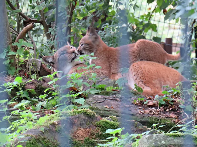 Foto: Brigitte Melder