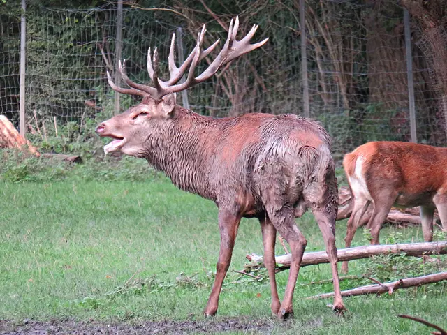 Foto: Brigitte Melder