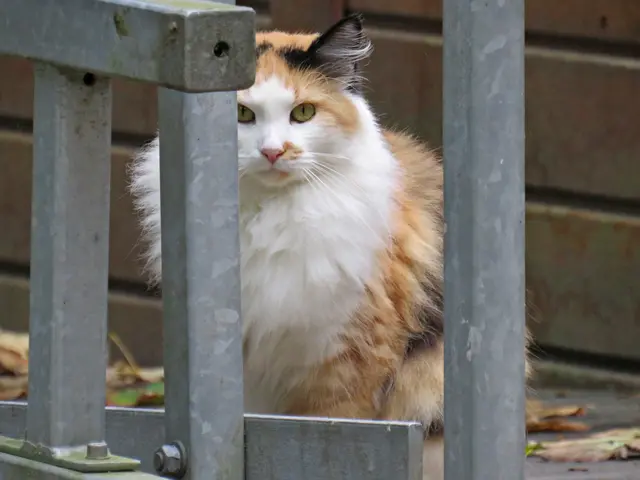 Foto: Brigitte Melder