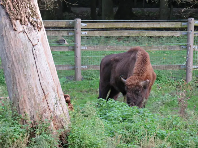 Foto: Brigitte Melder