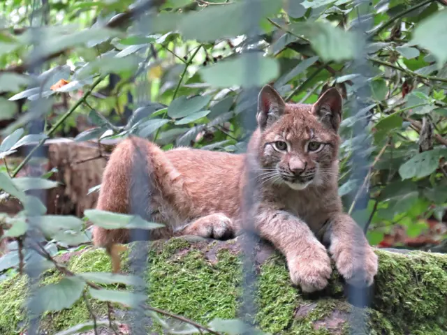 Foto: Brigitte Melder