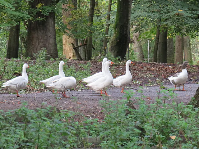 Foto: Brigitte Melder