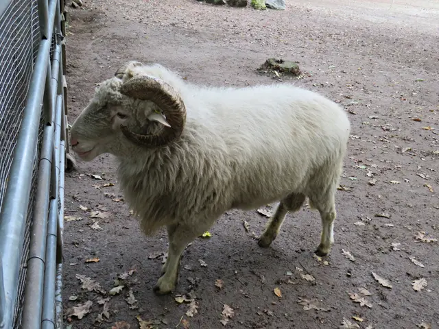 Foto: Brigitte Melder