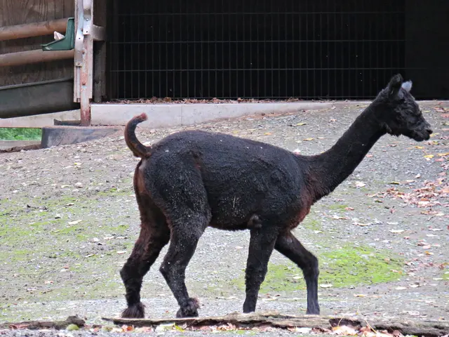 Foto: Brigitte Melder