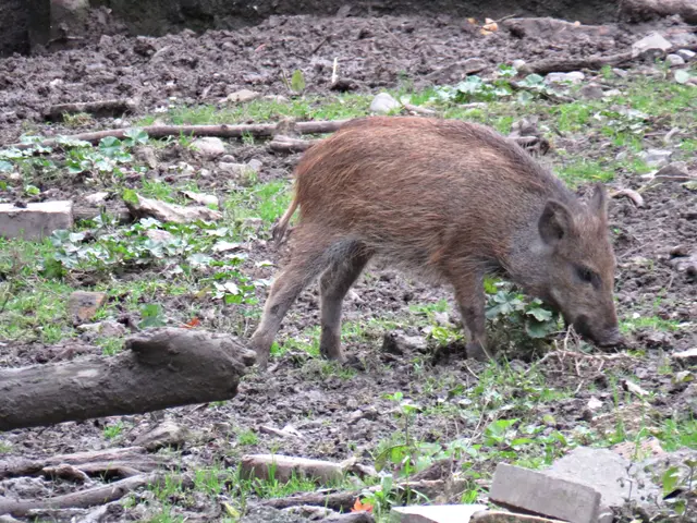 Foto: Brigitte Melder