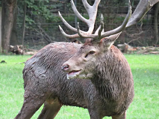 Foto: Brigitte Melder