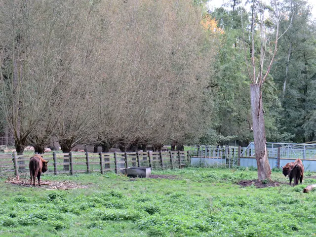 Foto: Brigitte Melder