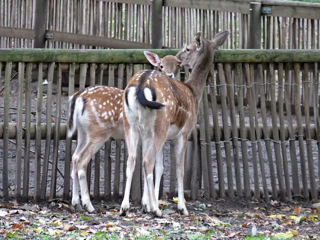 Foto: Brigitte Melder