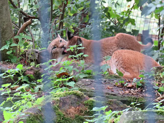 Foto: Brigitte Melder