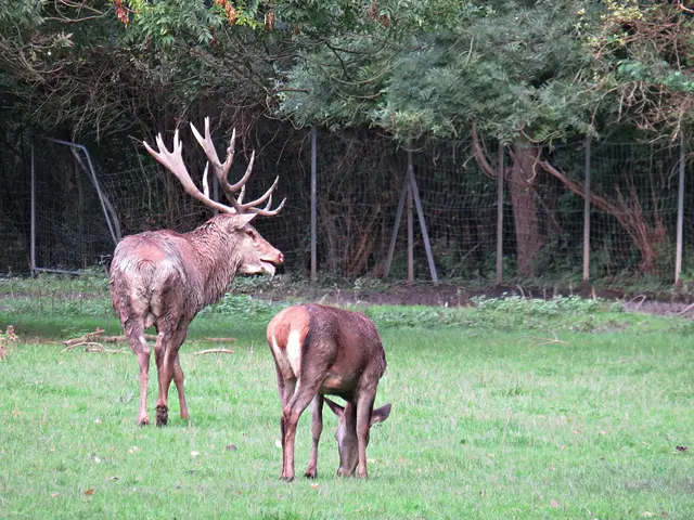 Foto: Brigitte Melder