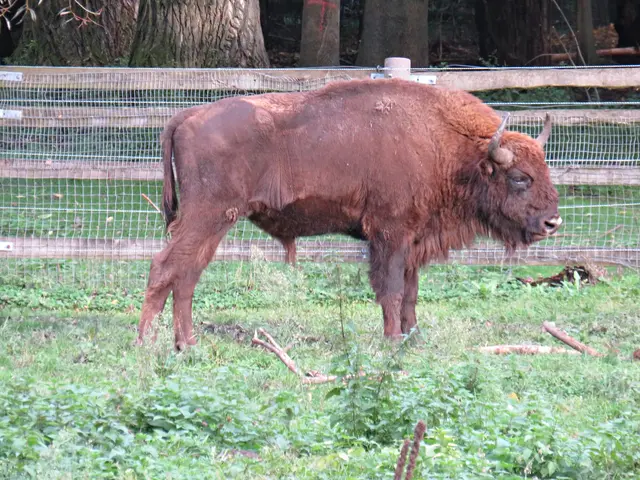 Foto: Brigitte Melder