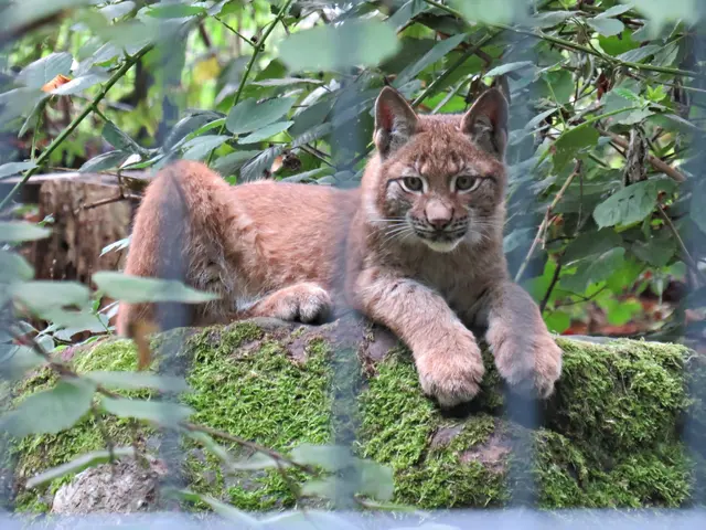 Foto: Brigitte Melder