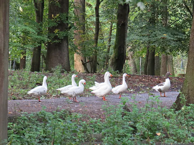 Foto: Brigitte Melder