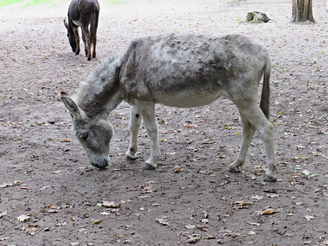 Foto: Brigitte Melder