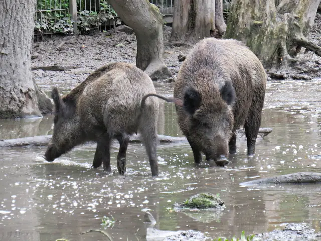 Foto: Brigitte Melder