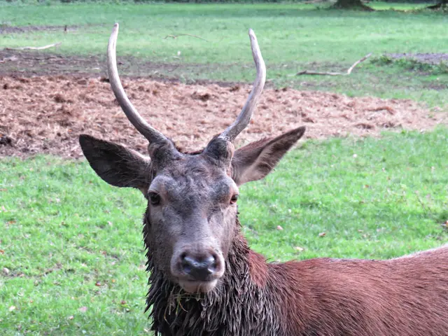 Foto: Brigitte Melder