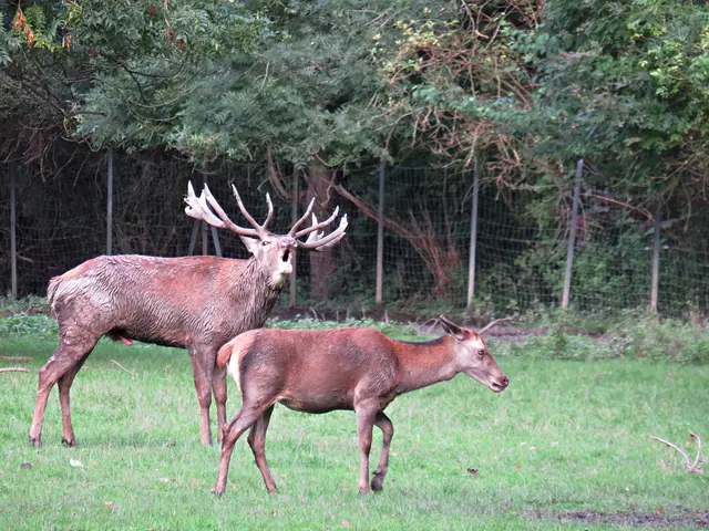 Foto: Brigitte Melder