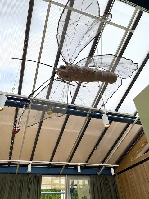 Hier geht es um Insekten | Foto: Alexandra Wind