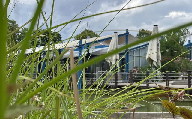 Grünes Klassenzimmer Außenansicht | Foto: Alexandra Wind