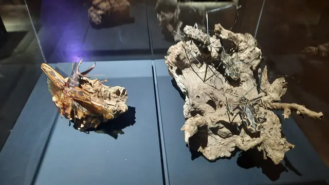 Gasometer Pforzheim  | Foto: Kristin Hätterich 