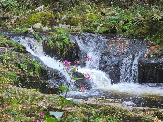 Wasserfall | Foto: Ich