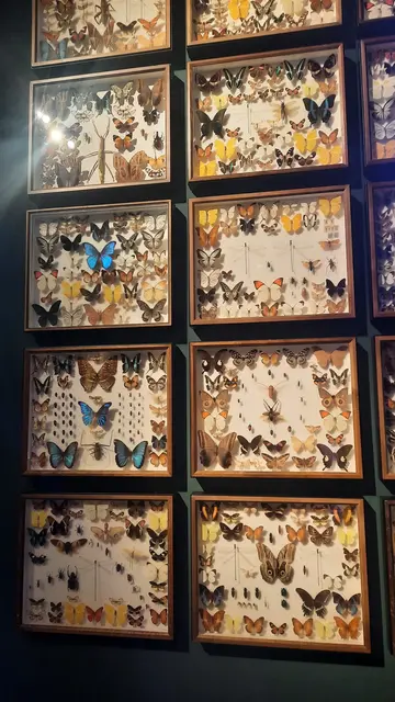 Gasometer Pforzheim  | Foto: Kristin Hätterich 