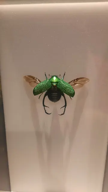 Gasometer Pforzheim  | Foto: Kristin Hätterich 