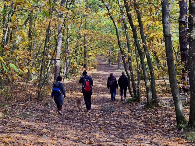 Beim gemeinsamen Spaziergang können sich die Teilnehmenden austauschen | Foto: Roland Kohls 