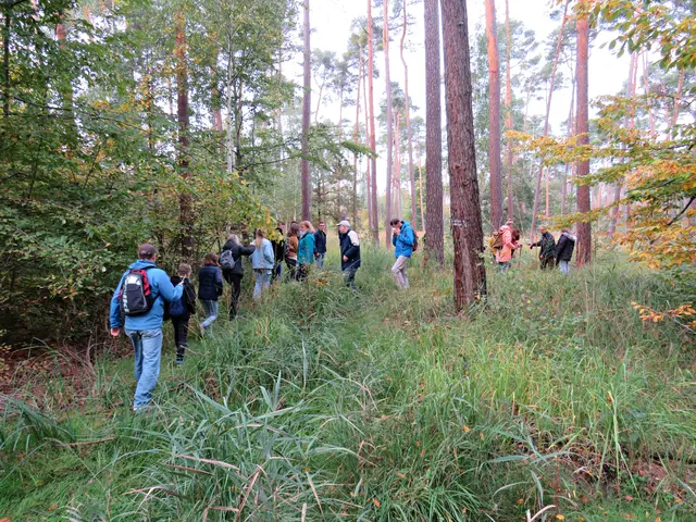 Foto: Brigitte Melder