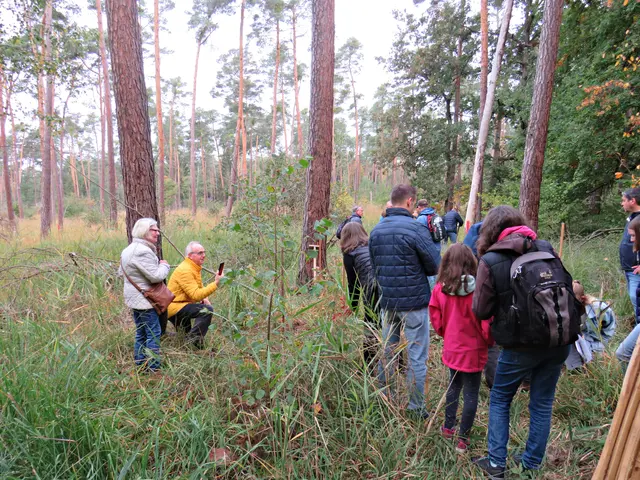 Foto: Brigitte Melder