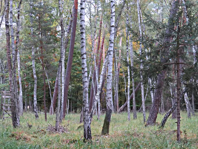 Foto: Brigitte Melder