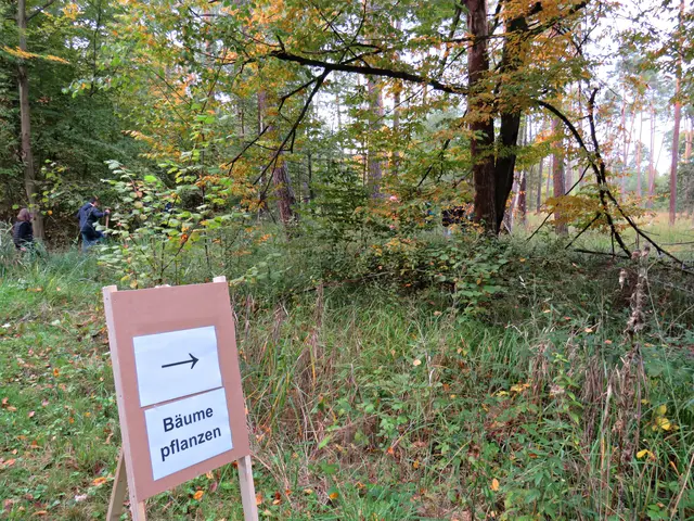 Foto: Brigitte Melder