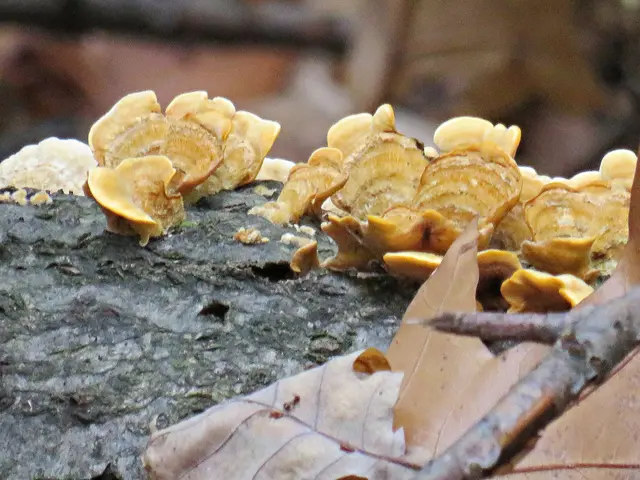 Foto: Brigitte Melder