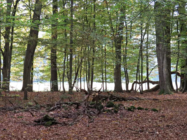 Foto: Brigitte Melder