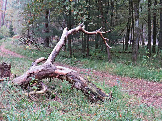 Foto: Brigitte Melder