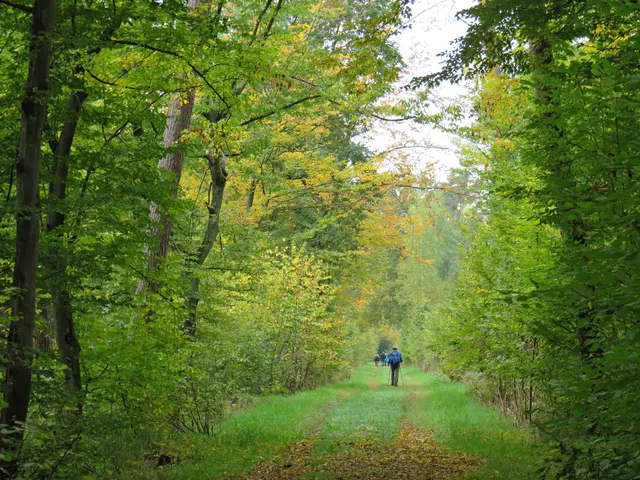 Foto: Brigitte Melder