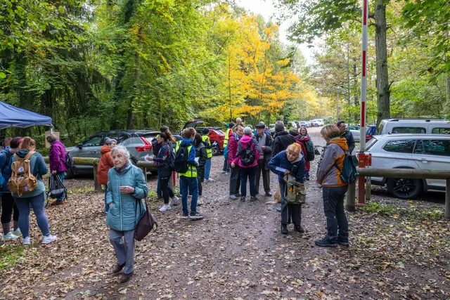 Foto: Johann-Peter Melder